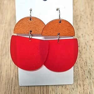 Wood & Resin Earrings